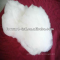 dehaired pashmina wool white fiber inner mongolian cashmere fibre